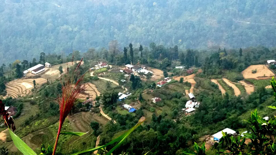 Terraced fields on the hills around Charkhole