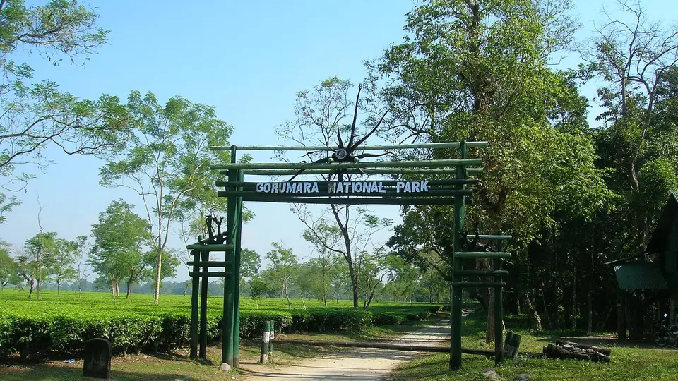 Gorumara National Park gate near Lataguri
